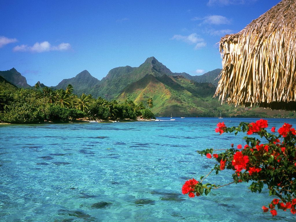 tranquil_lagoon_2c_bora_bora_island_2c_french....jpg