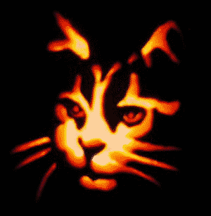 a_halloween_cat_w300x307.gif