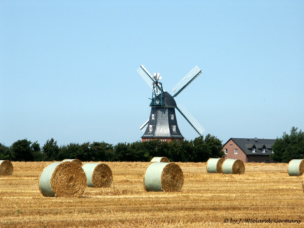 54373.jpg