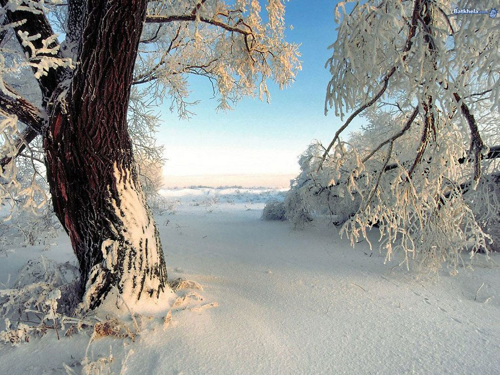 winter_004.jpg