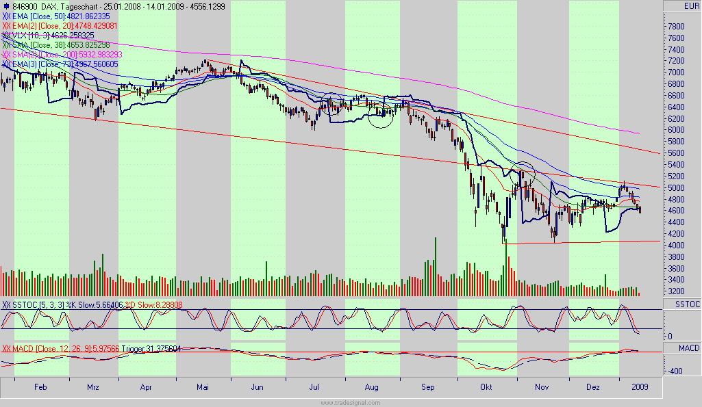 dax.gif