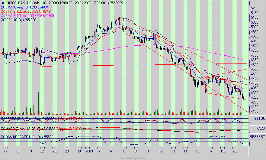 dax.gif