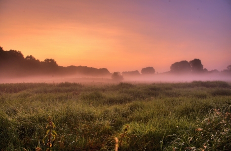 platz_51__ein_septembermorgen_-....jpg