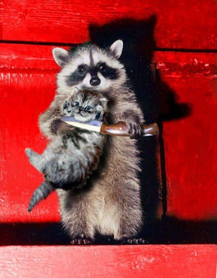 catkidbydax.jpg