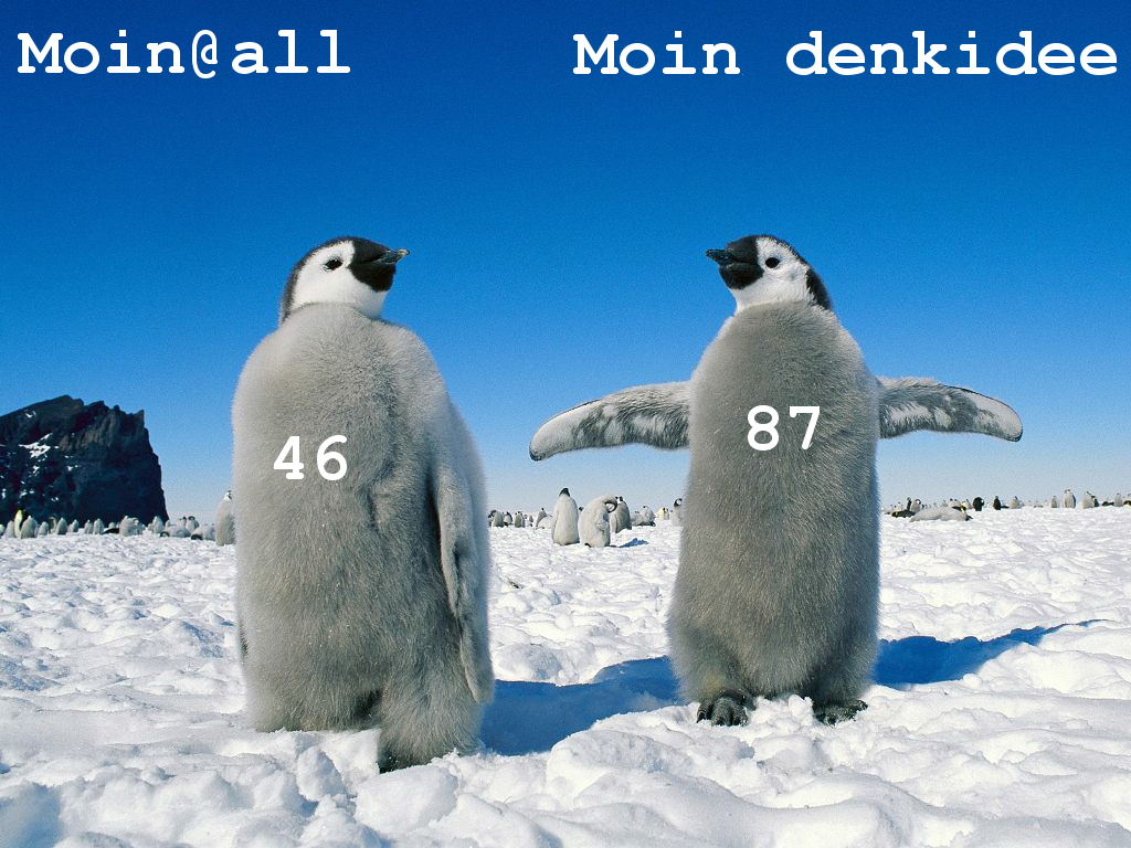 emperor_20penguin_20pair__20antarctica.jpg