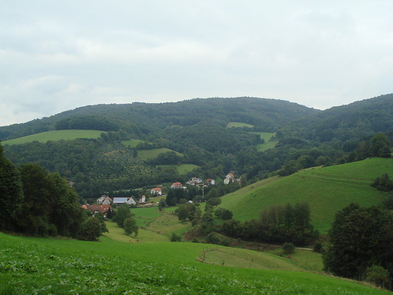 800px-waldskopf2.jpg