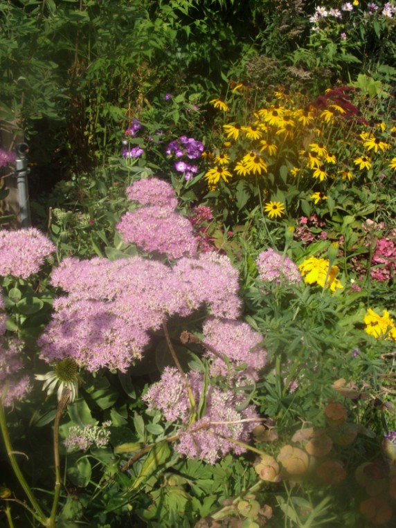 garten080096.jpg