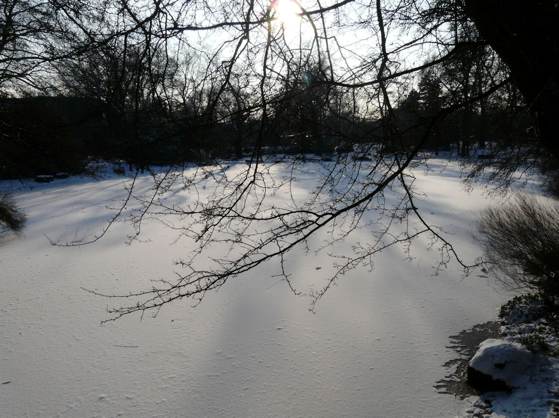 p1210312b.jpg