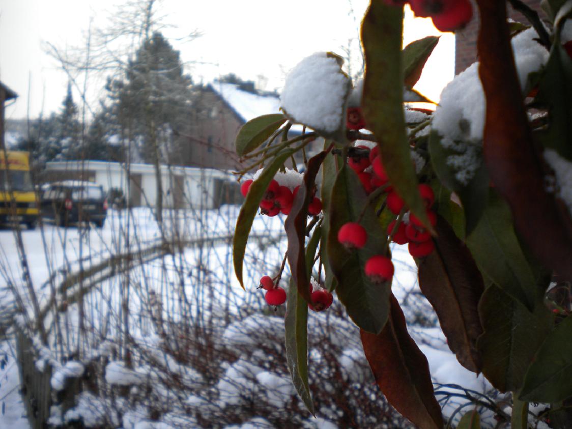 070110_02.jpg