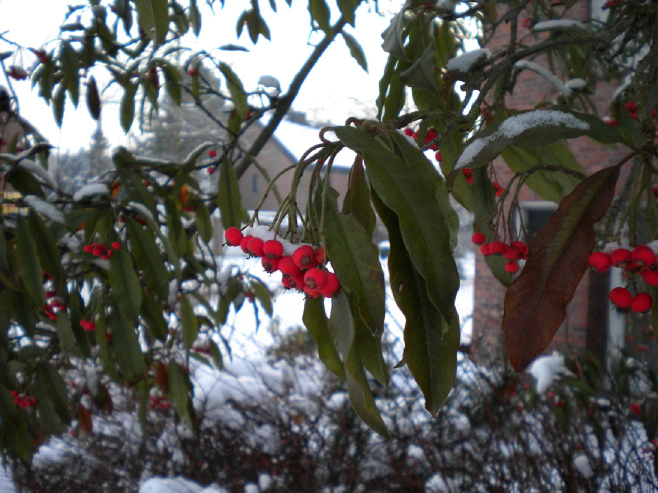 070110_4.jpg