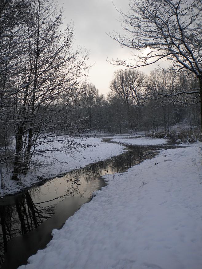 070110_1.jpg