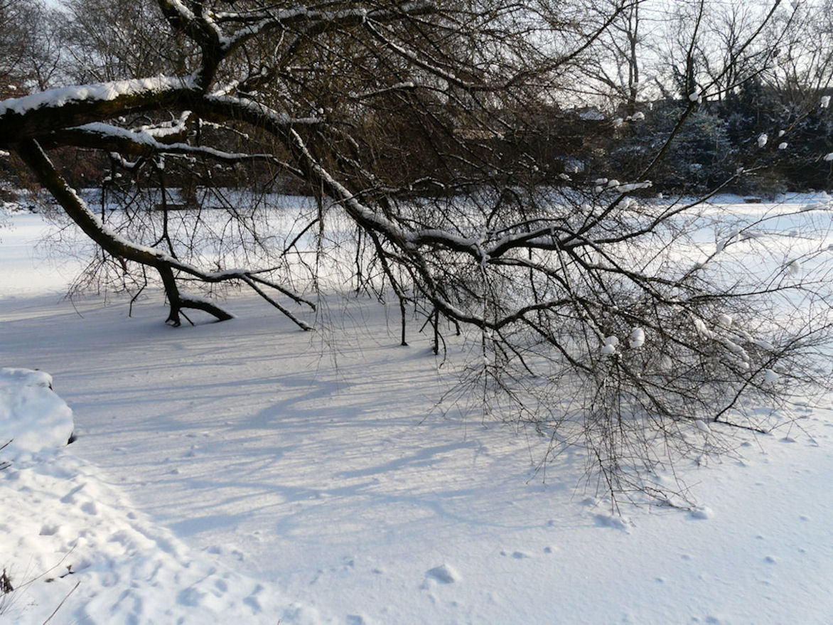 p1210278y.jpg