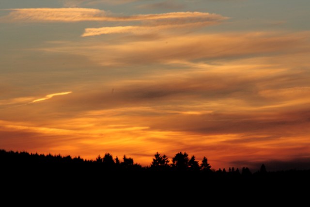 sonnenuntergang_baeume_ariva.jpg