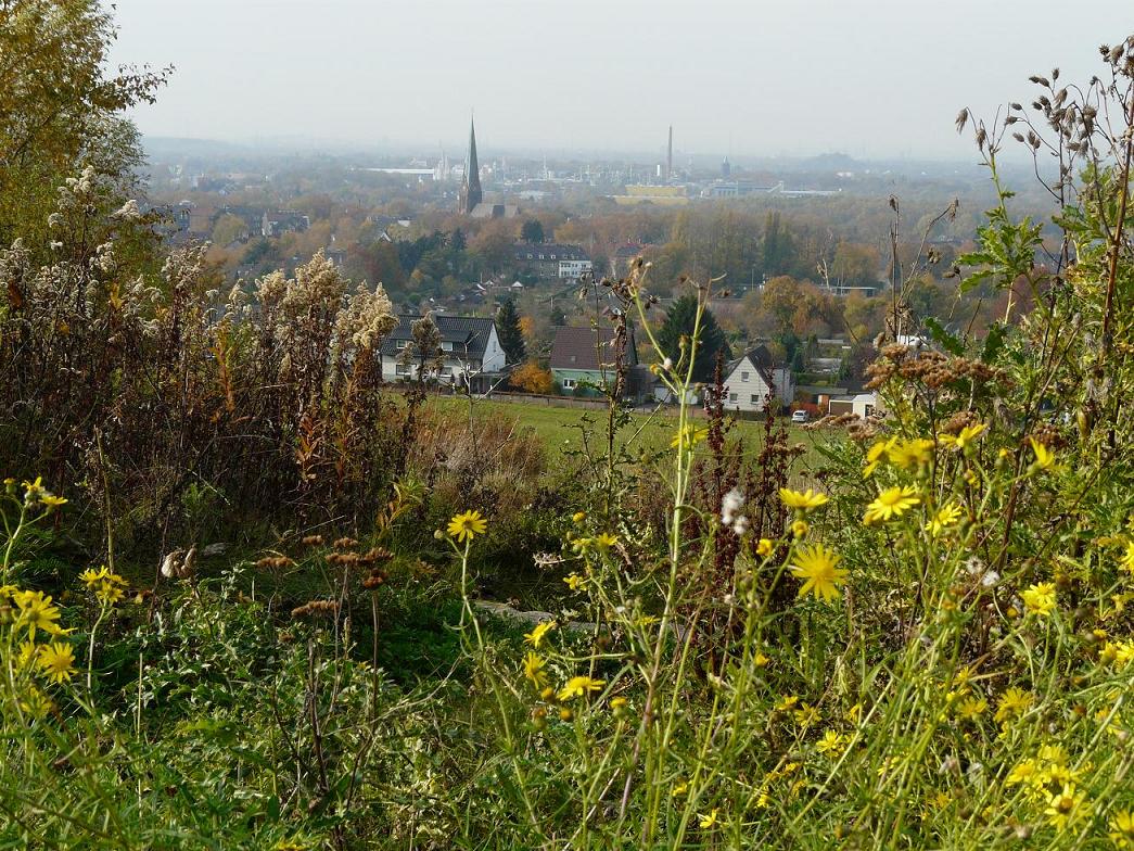 p1170373_-_kopie.jpg