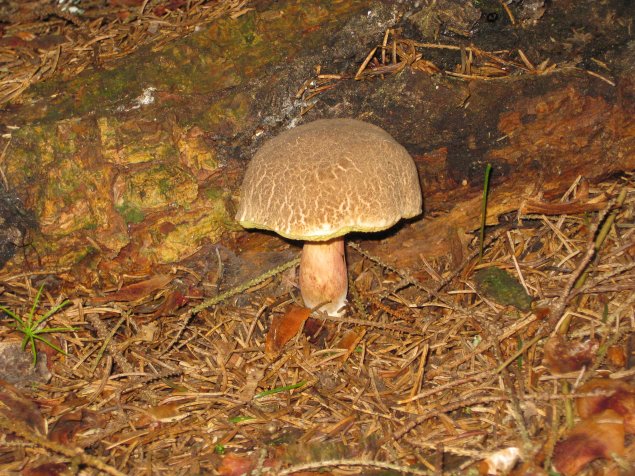 bild_005.jpg