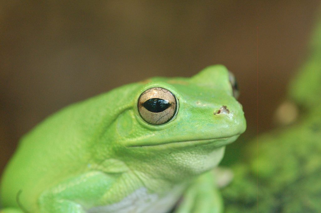 dsc_3579.jpg