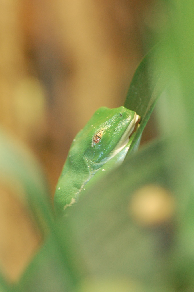 dsc_3582.jpg