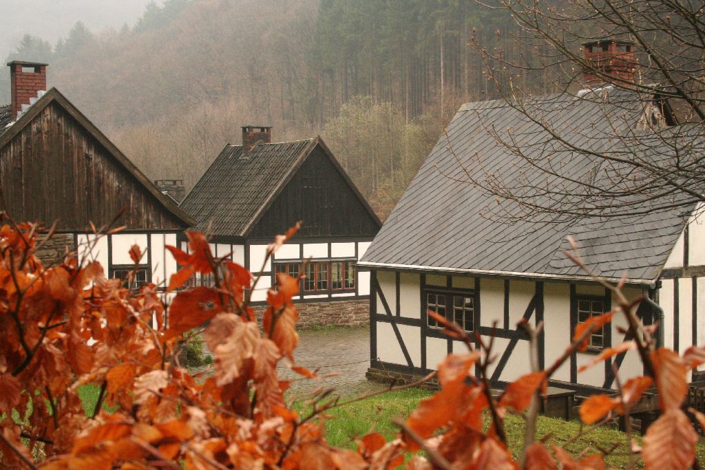 hagen095.jpg