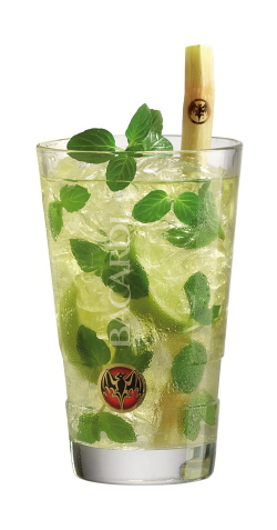 bacardi_mojito_on.jpg
