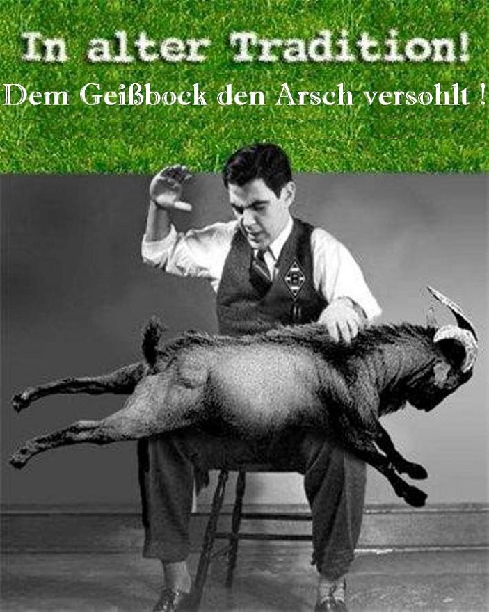 fc-geissbock-arsch-voll.jpg