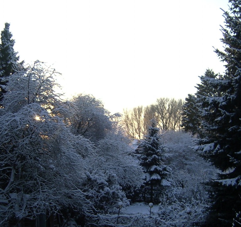 winter_in_nrw_2010-12-24.jpg