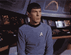 th_spock-wtf.gif