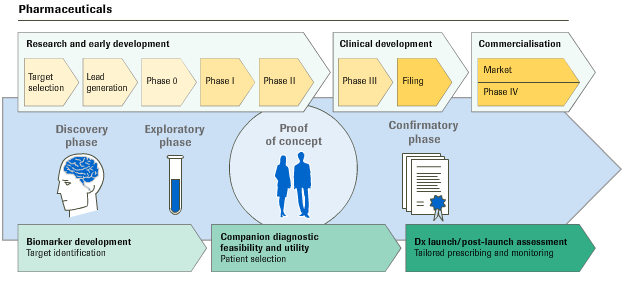 roche_medikamentenphasen.png
