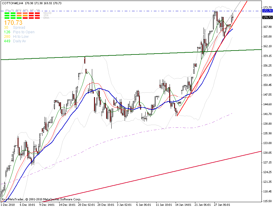 cotton-240_min-trendkannte-1-2.gif