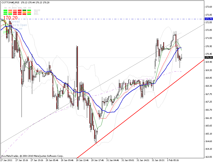 cotton-240_min-trendkannte-1-2.gif