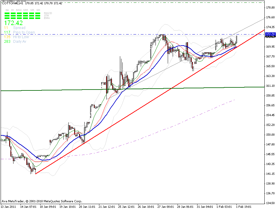 cotton-60_min-trendkannte-1-2.gif