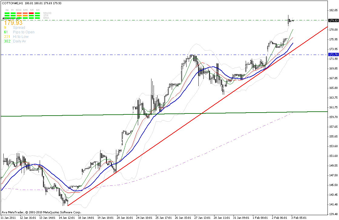 cotton-60_min-trendkannte-3-2.gif