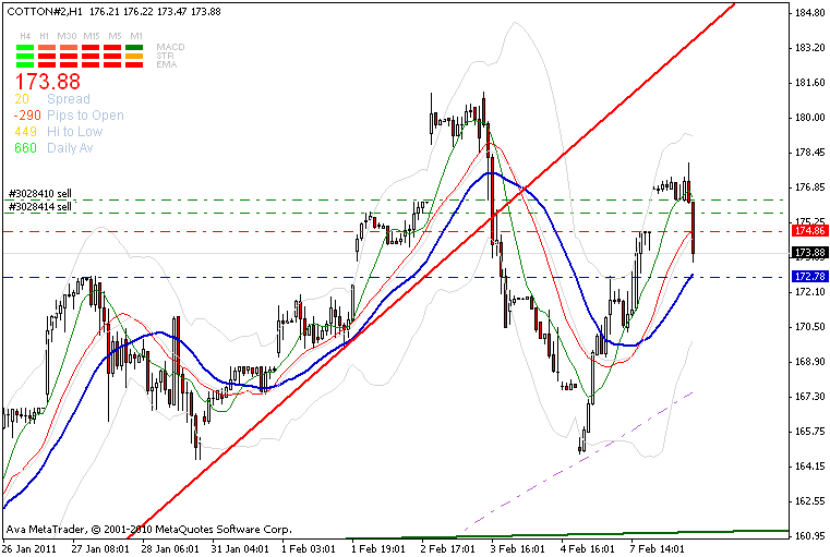 cotton-240_min-trend-kannte-8-2.gif