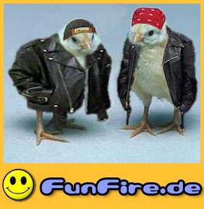 coole_Vögel.jpg