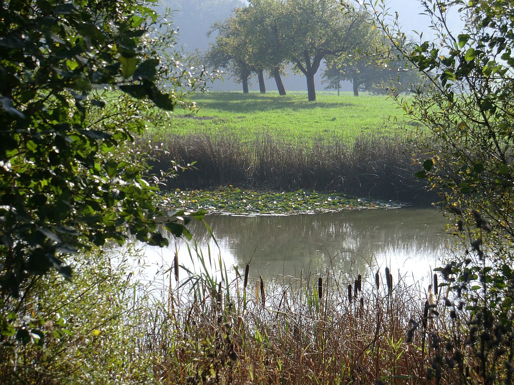 mein-lieblingsplatz-in-meiner-heimat.jpg