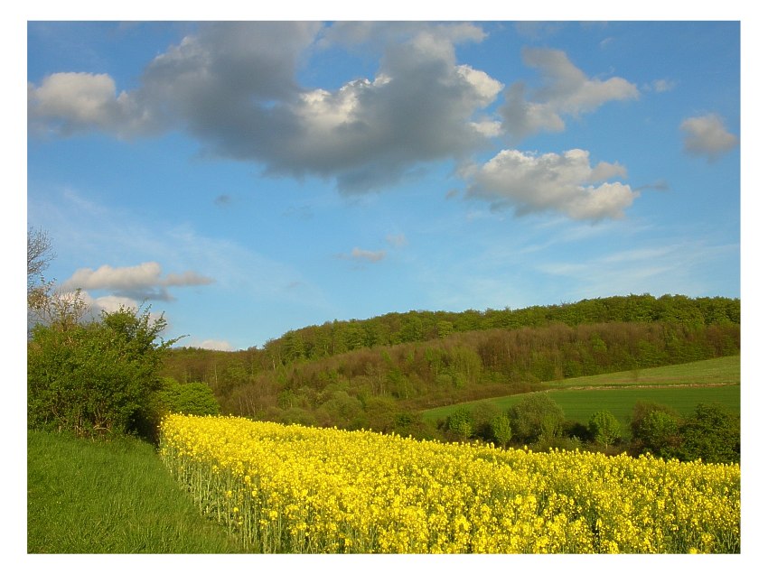 natur_2.jpg