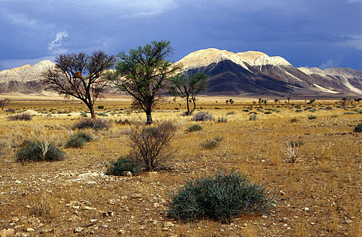 Namibia,Hochland.jpg