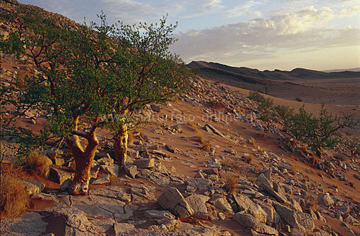 Namibia,Marmorberg.jpg