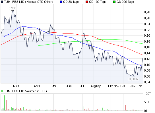 2012-02-09-chart_year_tumiresltd.png