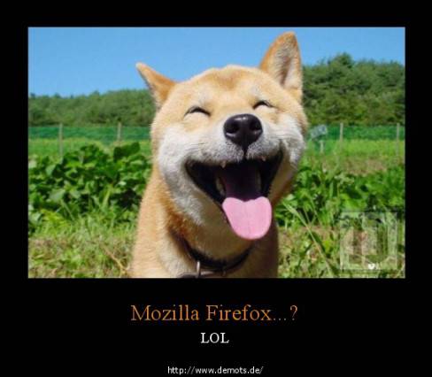 100_100_1302269193_mozilla_firefox_przez_a....jpg