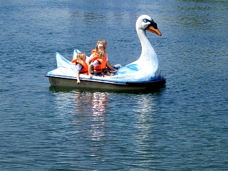 tretbootvogel.jpg