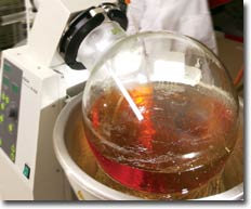 evaporator.jpg