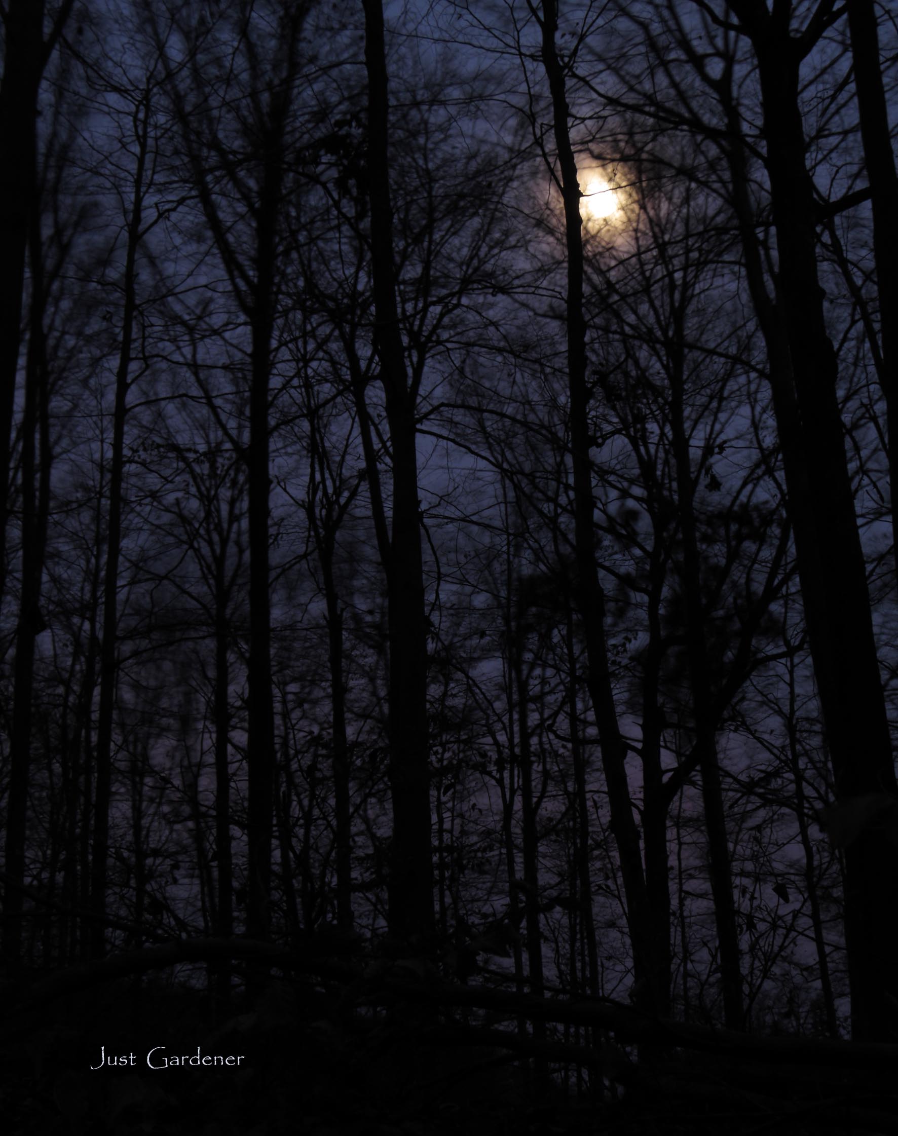 001_nacht.jpg