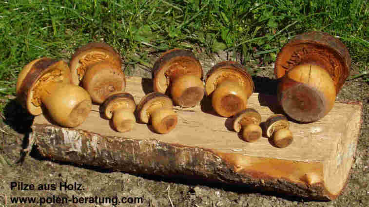 pilze-holzpilze-holzprodukte.jpg