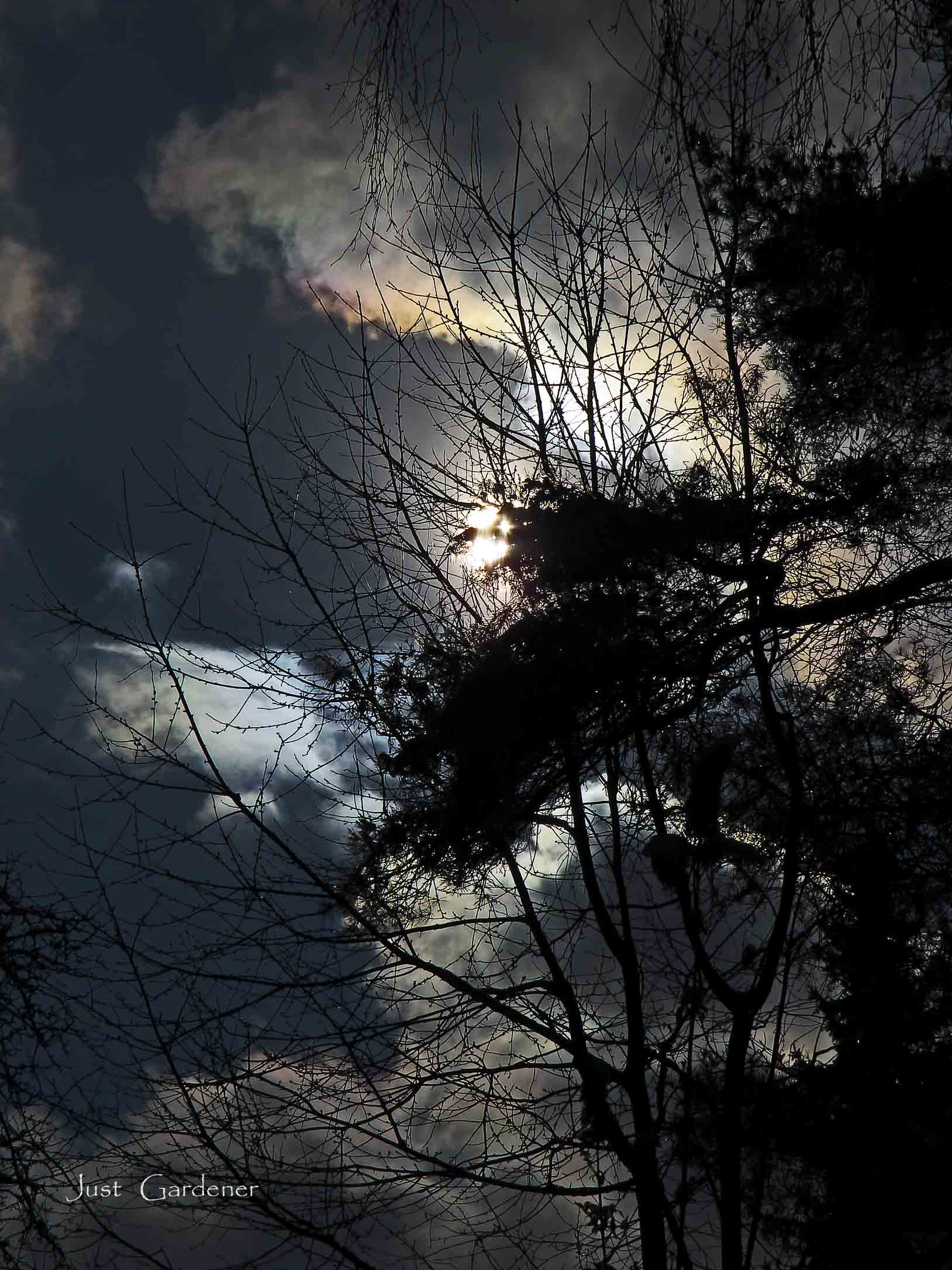01_eiszapfen_an_sonne.jpg
