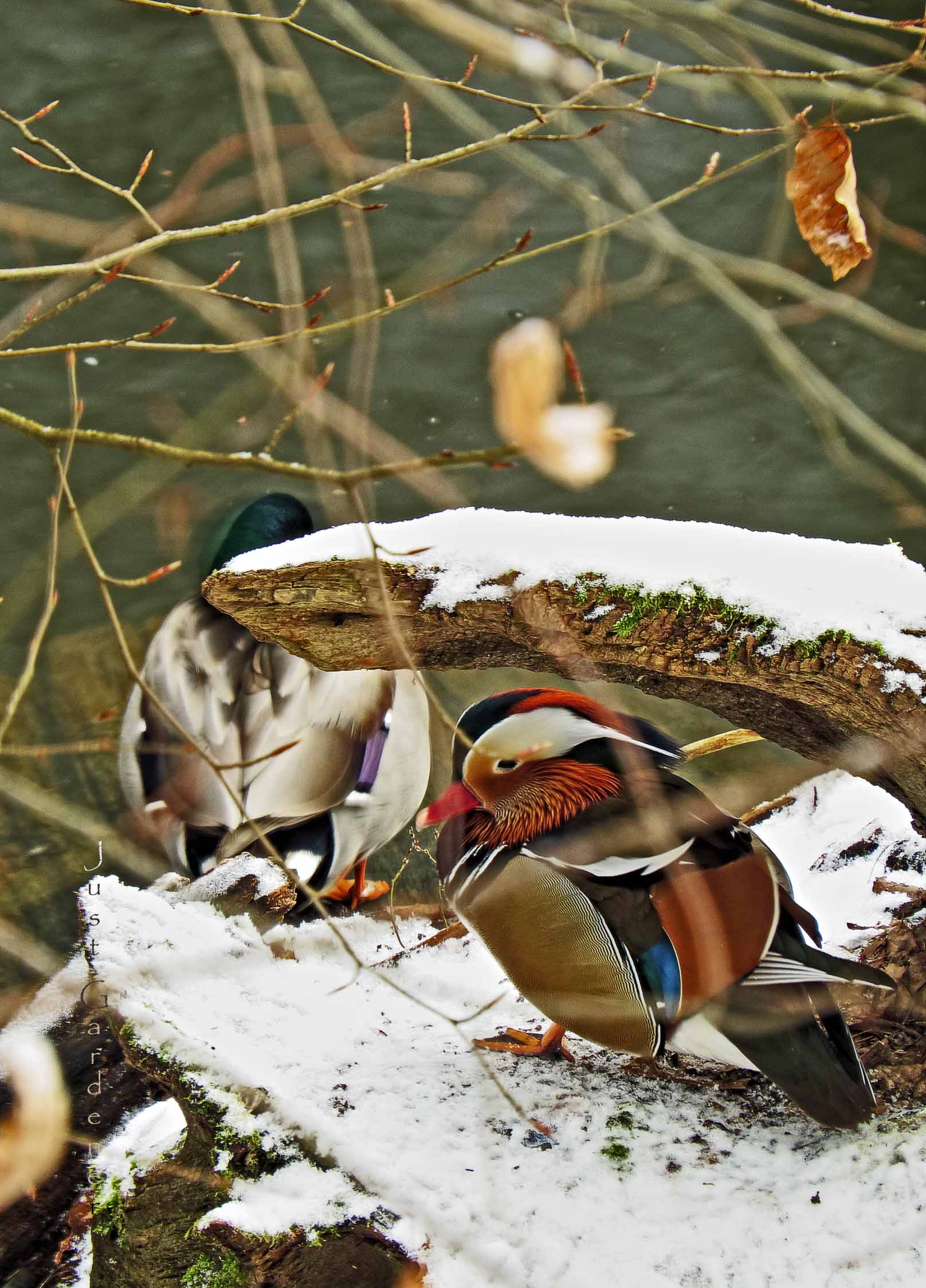 001_baerensee_02.jpg