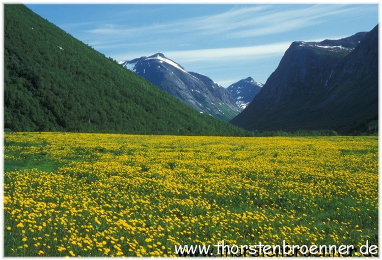 Norwegen.jpg