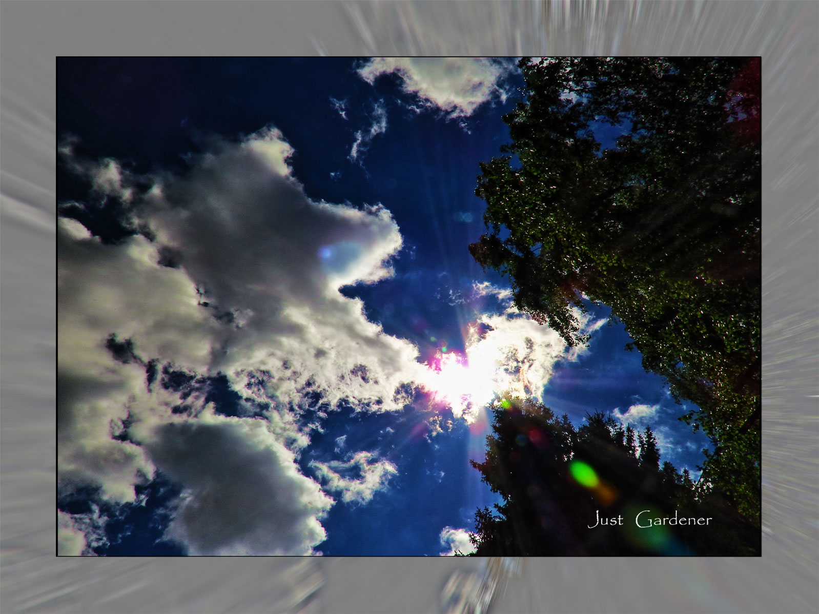 gegenlicht-03.jpg