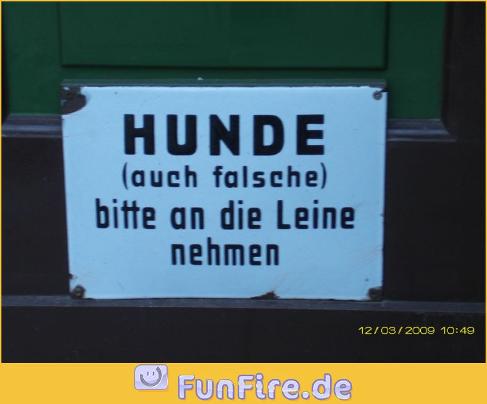 hunde-aller-art-an-die-leine.jpg