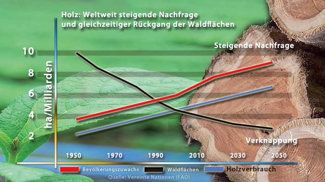 holzverbrauch.jpg