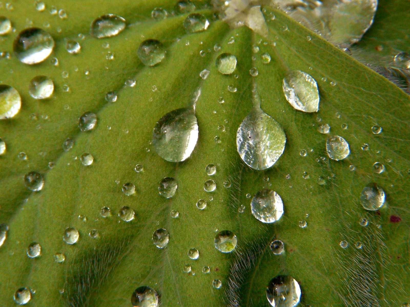p1220326.jpg